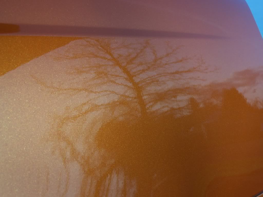 100_6668.jpg