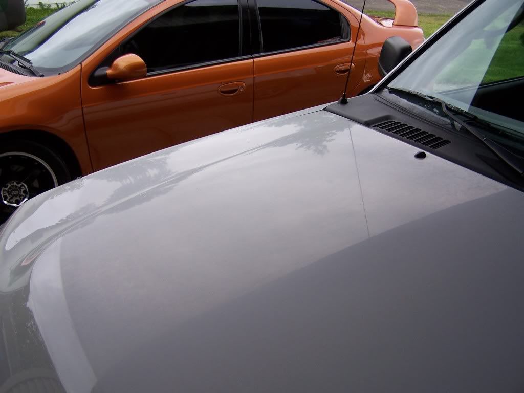 100_6780.jpg