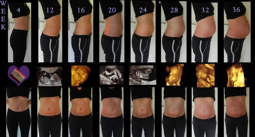 http://i18.photobucket.com/albums/b115/MissyNikie/Zwanger/tm-week-36_zpsb694b93a.jpg