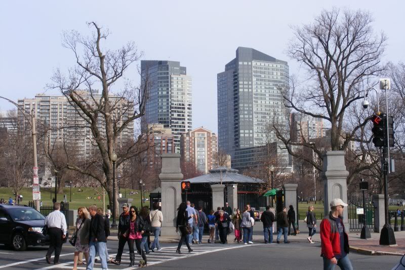 Boston81.jpg