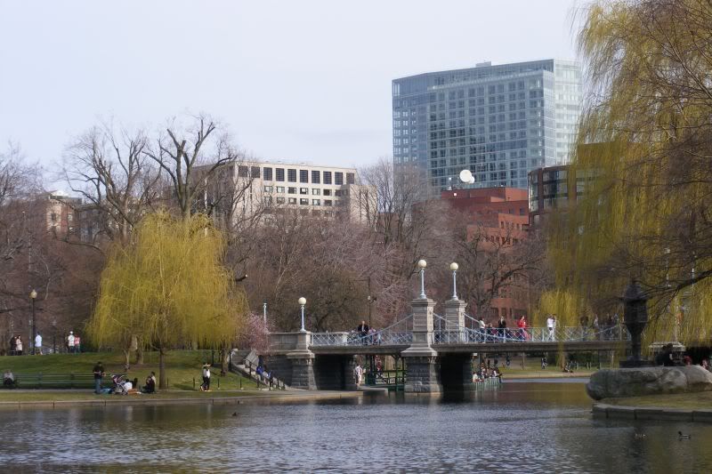 Boston84.jpg