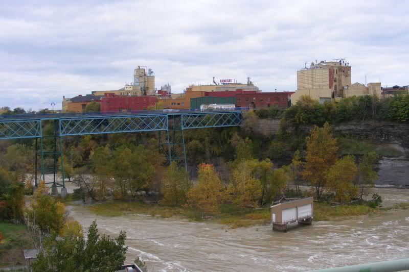 DSCF2519.jpg