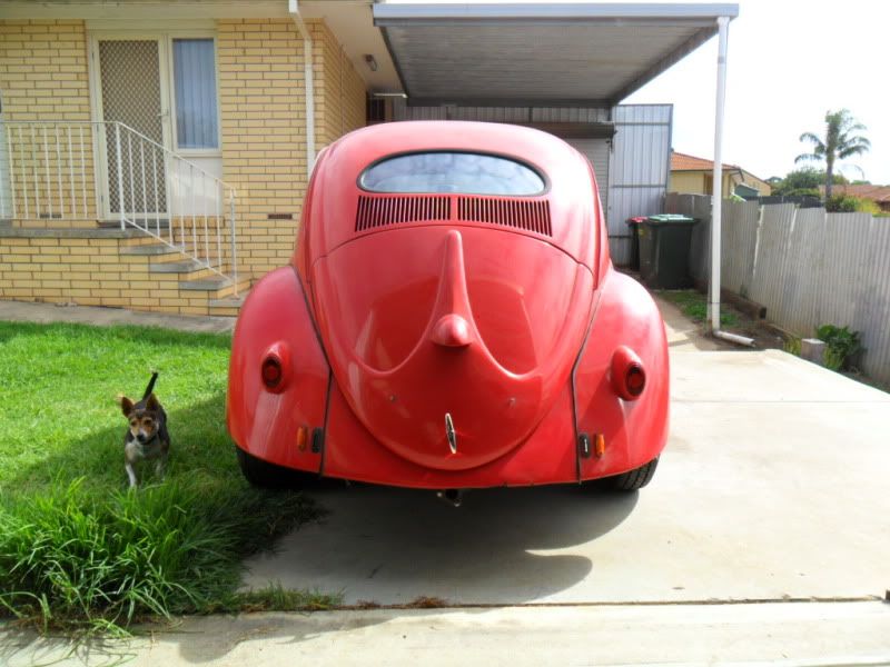 http://i18.photobucket.com/albums/b115/pmdaniels/VW/SAM_0149.jpg