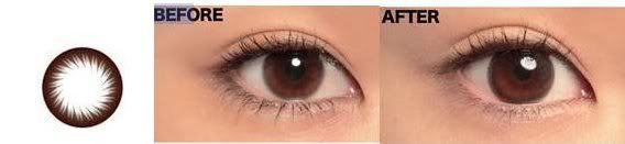 http://i18.photobucket.com/albums/b115/rainydr3ams/Geo%20Contact%20Lenses/GEOBC-102Brown1.jpg?t=1256059059