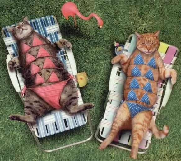 sunbathers.jpg