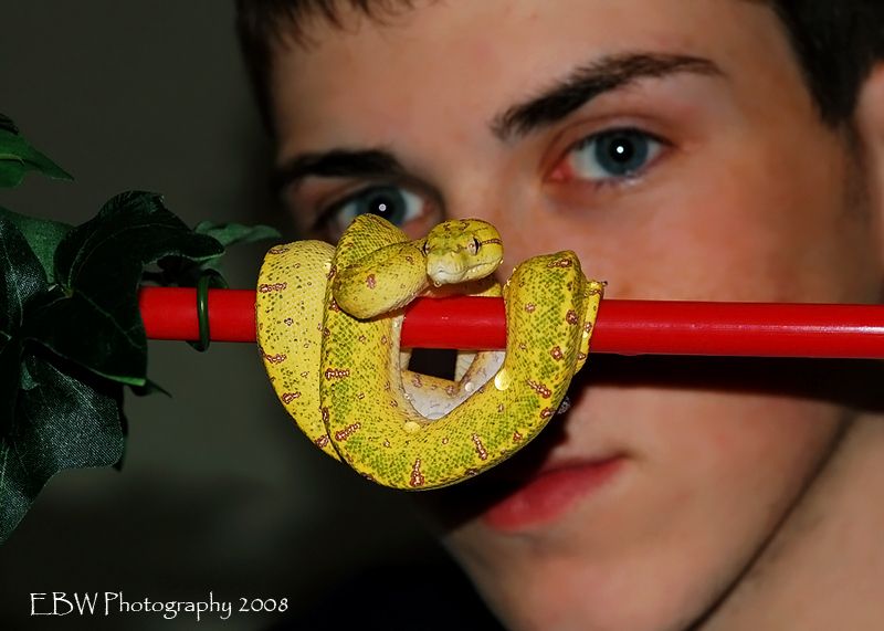 coilhug3.jpg