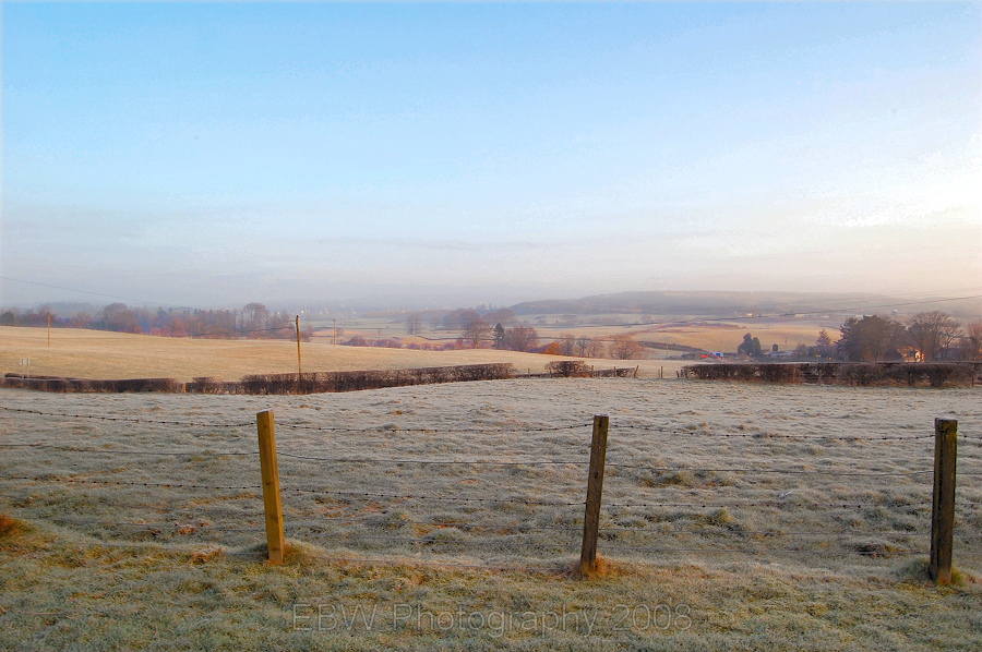 frostedmorning.png