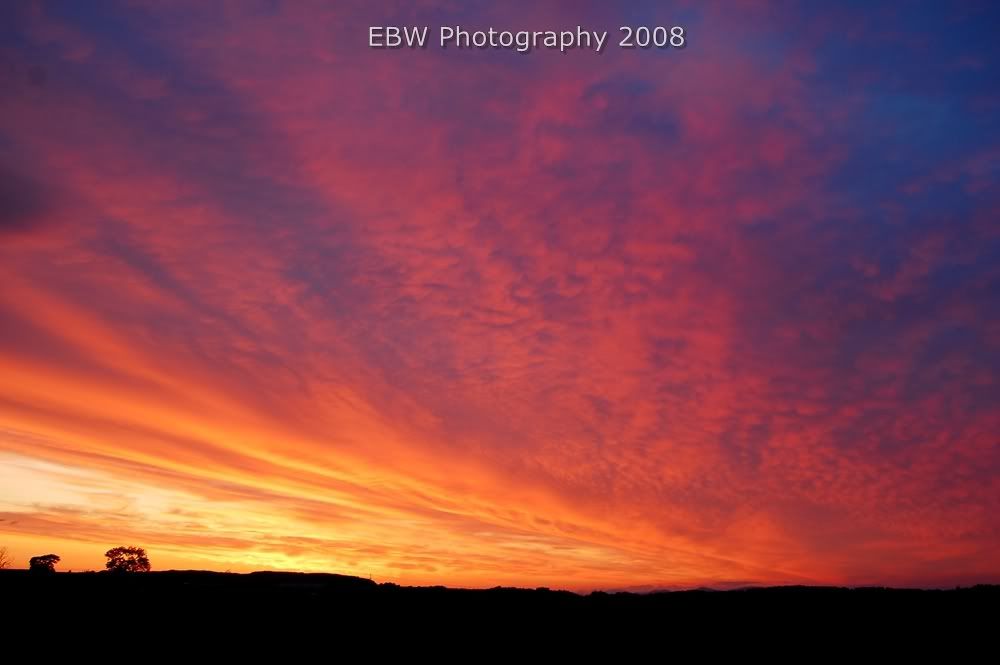 sunset3.jpg