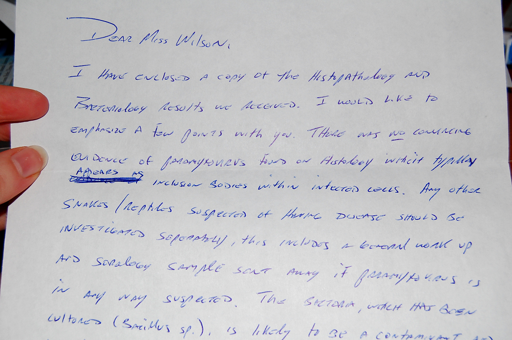letter.png
