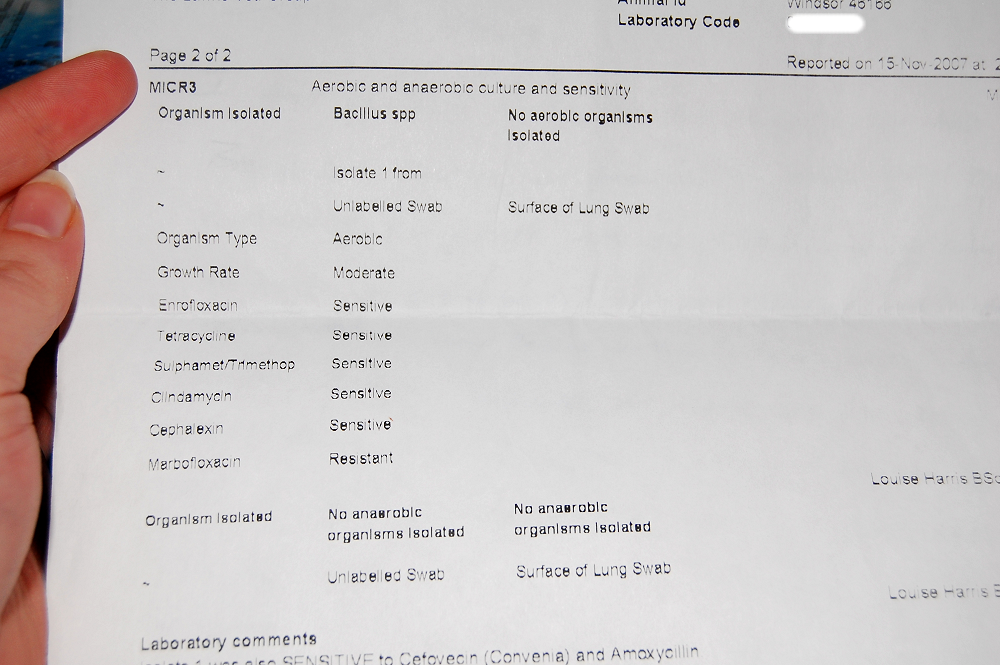results2.png
