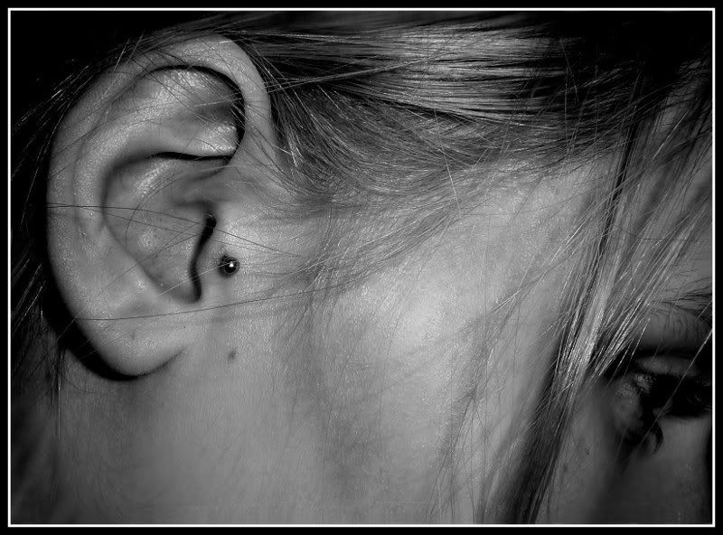 tragus3.jpg