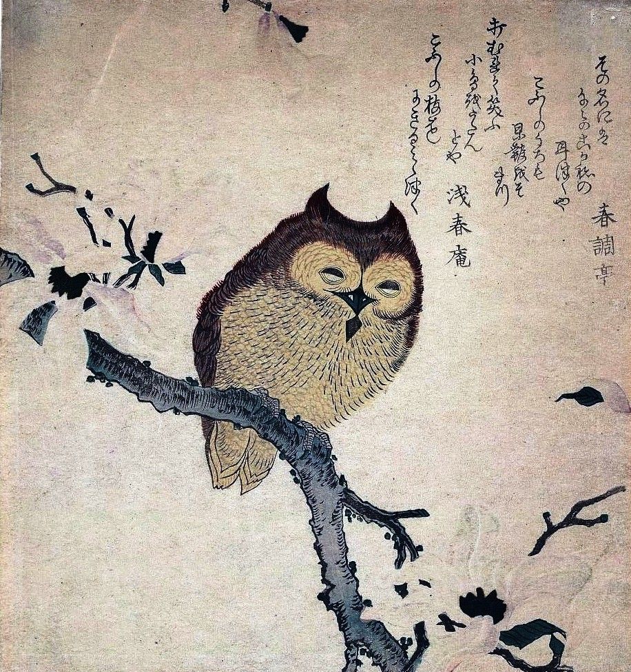 Animal-bird-owl-Japanese-woodcut_zps1f1e