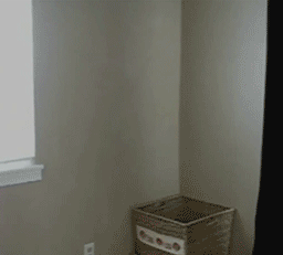 cat_leaping_zps55a21877.gif