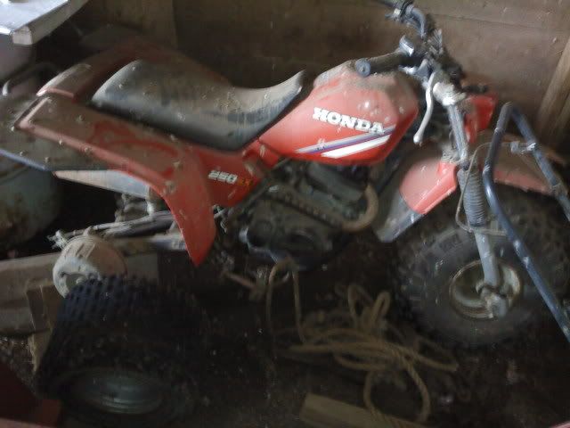 Honda 250 sx craigslist #5