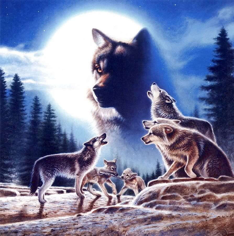 Wolves Art