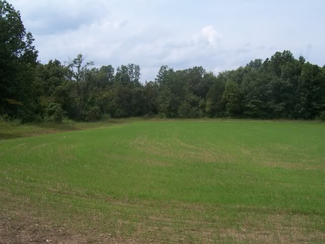 100_2569.jpg