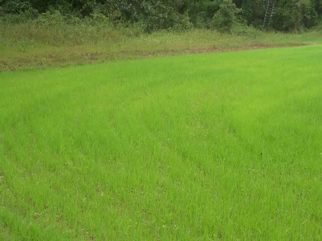 100_2577.jpg
