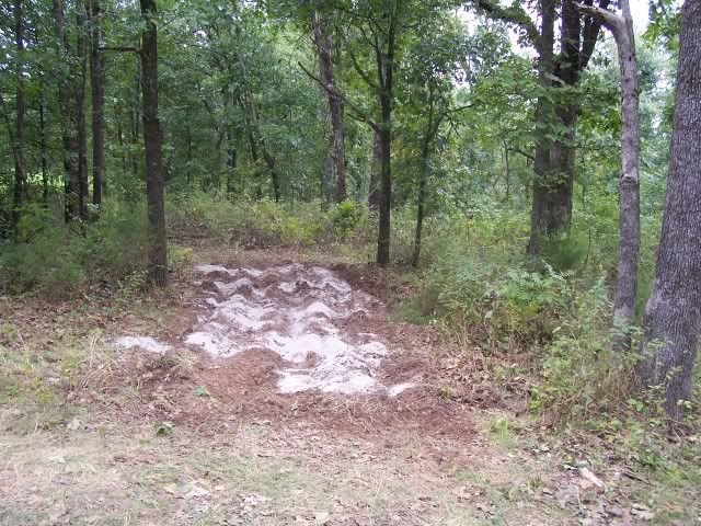 100_2583.jpg