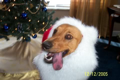 Image hosted by Photobucket.com
