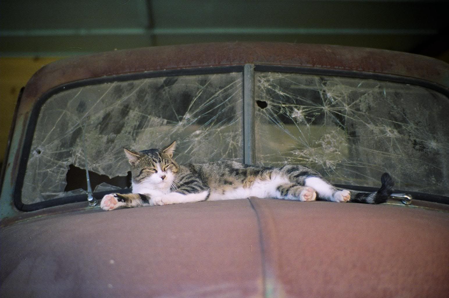 Image hosted by Photobucket.com