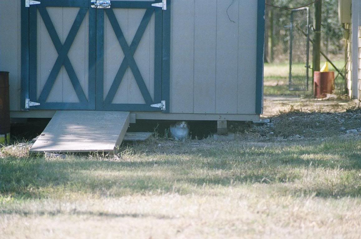 Image hosted by Photobucket.com