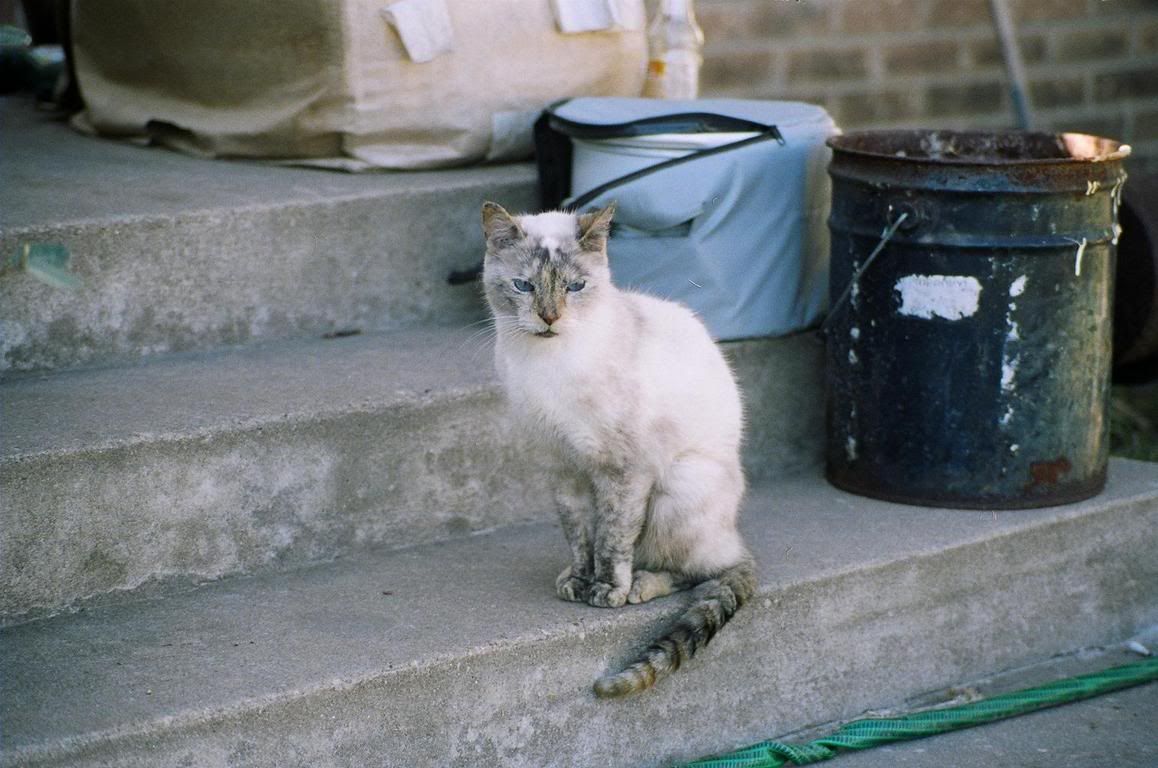 Image hosted by Photobucket.com