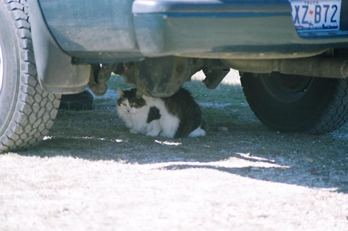 Image hosted by Photobucket.com