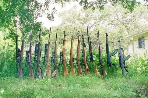 Image hosted by Photobucket.com