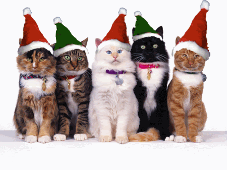 [img width=450 height=337]http://i18.photobucket.com/albums/b123/kittiecat_/xXx%20Holidays%20xXx/MerryChristmas4.gif[/img]