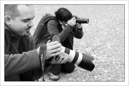 Photo Sharing and Video Hosting at Photobucket