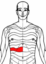 Pijn Rechts Onder De Ribben Door Zenuwontsteking Lymenet Forum