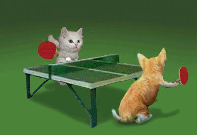 kitty_pink_pong.gif