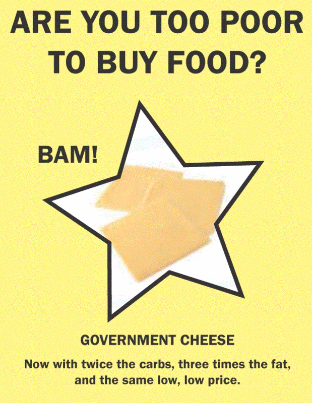 bamgovernmentcheese.gif