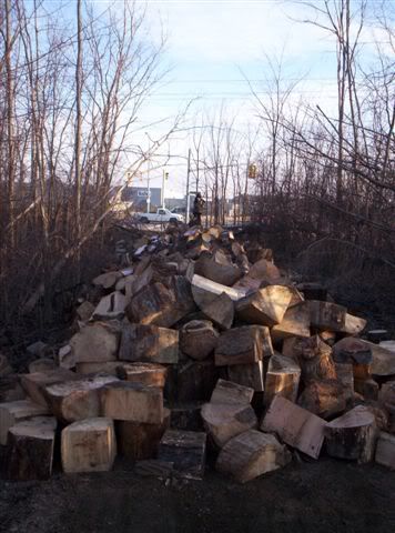 Can I burn wood to produce electricity? - Homesteading Questions