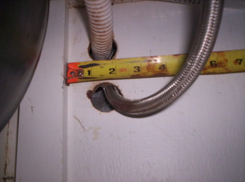 Something's killing my chickens - Homesteading Questions