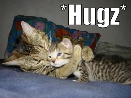 Kittens_hugz.jpg