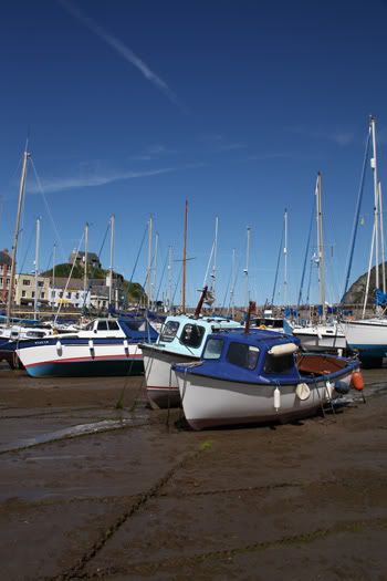 Devon; Ilfracombe