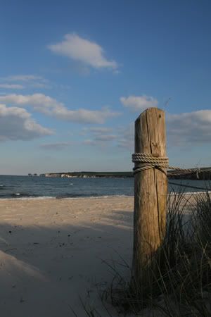 Studland