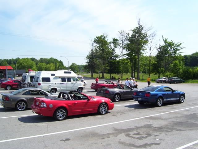rencontre mustang