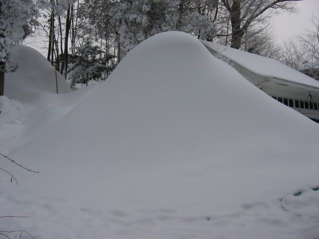 2009-01-150019.jpg