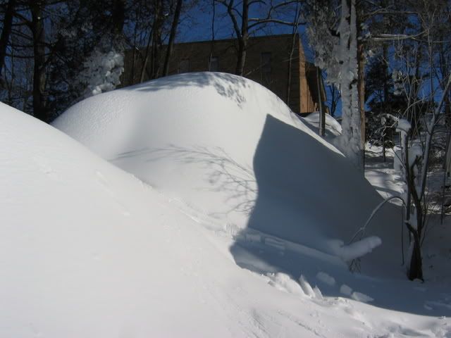 2009-01-210004.jpg