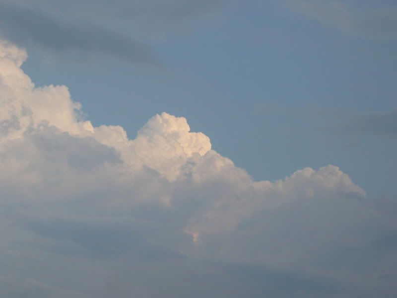 IMG_8813.jpg