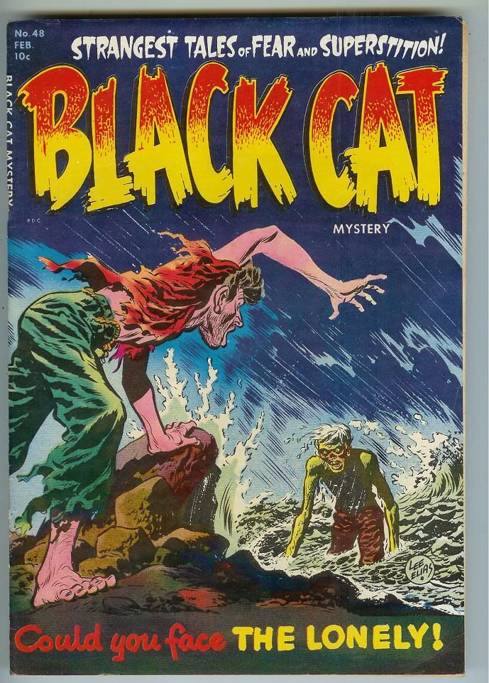 blackcat48.jpg