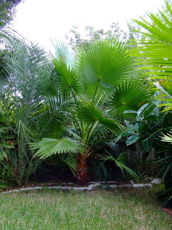 DSCF0715.jpg