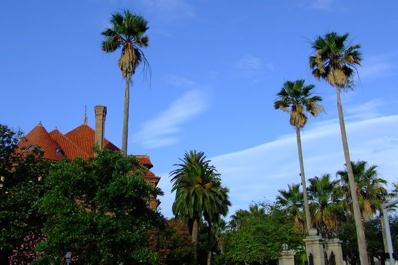 PhoenixreclinataCatholicchurchpa-2.jpg
