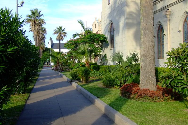 PhoenixreclinataCatholicchurchpa-4.jpg