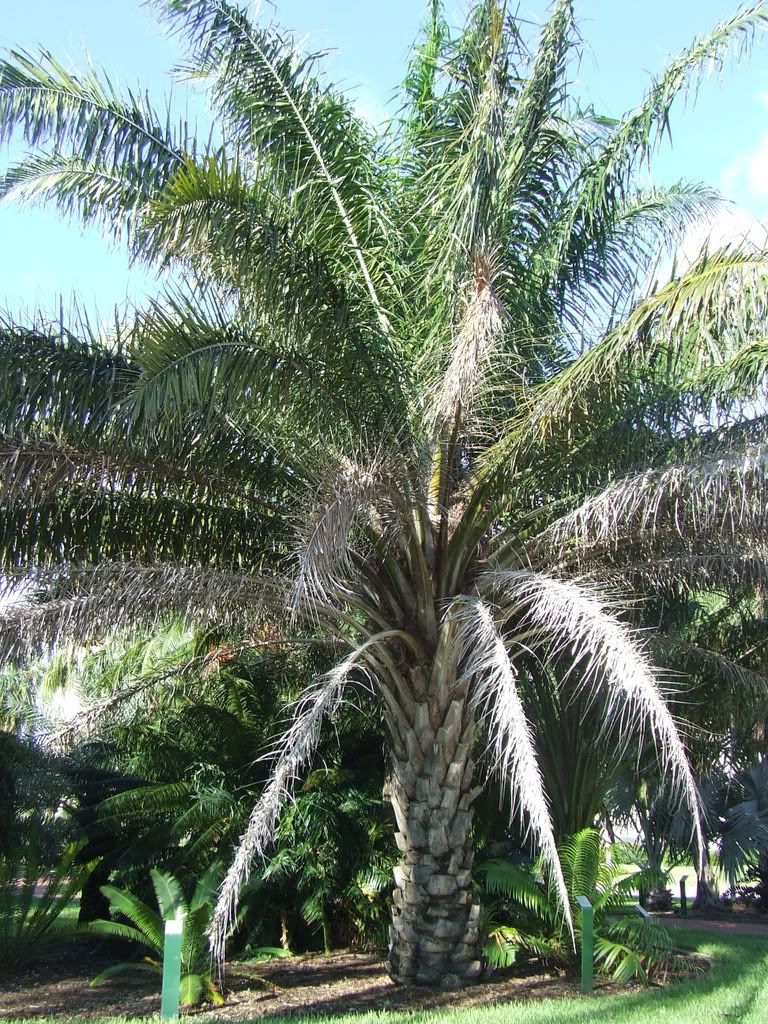 DSCF4804.jpg