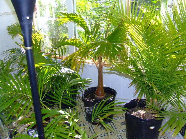sunroomgutter001.jpg