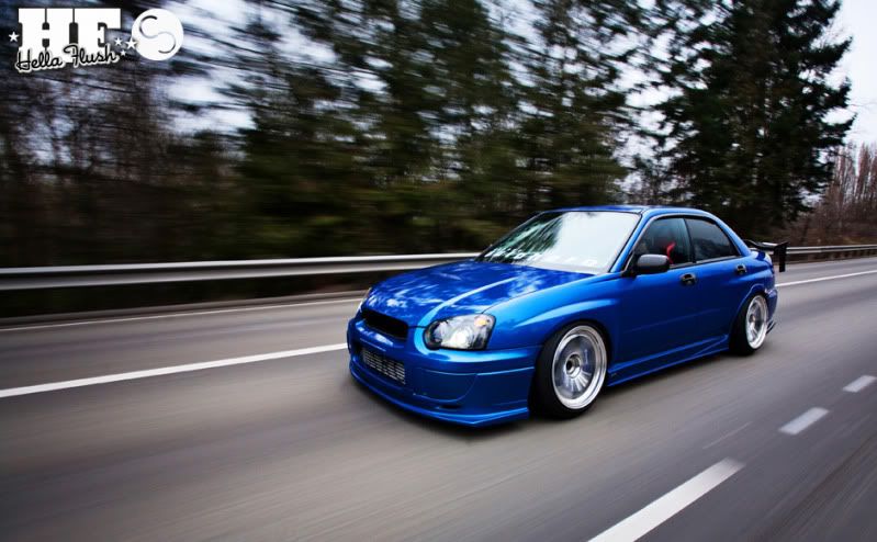 [Image: bakajin-sti-5.jpg]