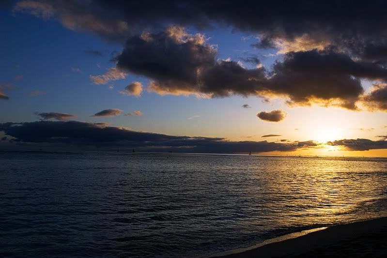 IMAGE: http://i18.photobucket.com/albums/b126/bitteraspects/IMG_0055.jpg